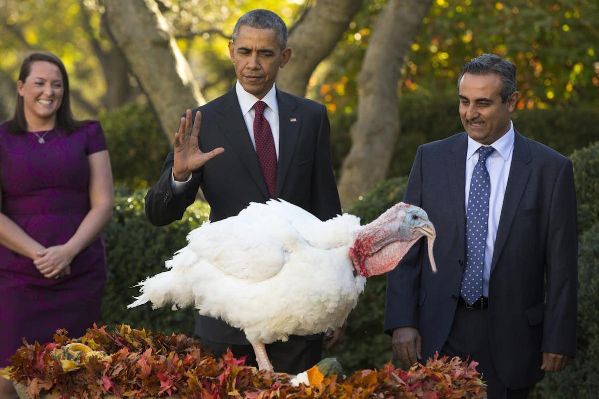 What is behind the turkey pardoning ritual?