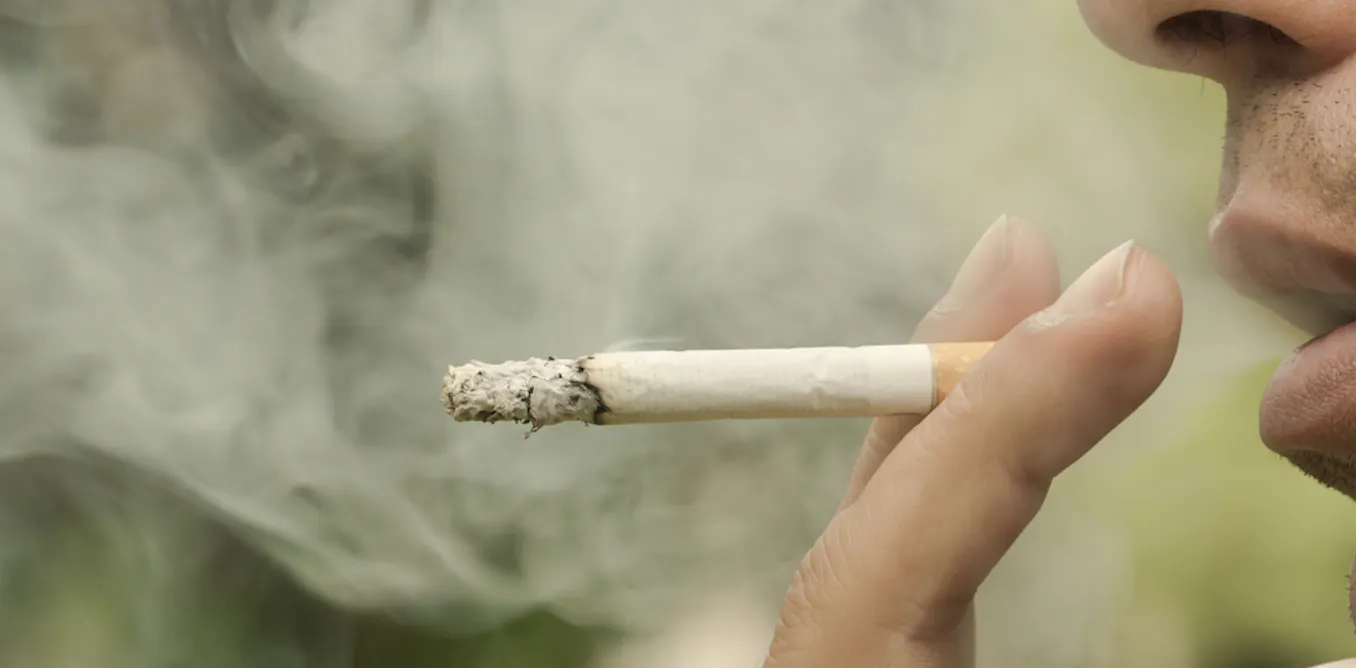how many grams of tobacco in a cigarette New Report Details How Tobacco… how many grams of tobacco in a cigarette New Report Details How Tobacco…