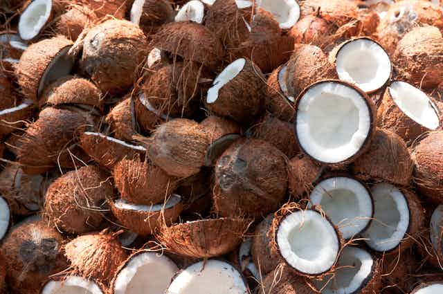 Is the term ‘coconut’ controversial, racist – or both?
