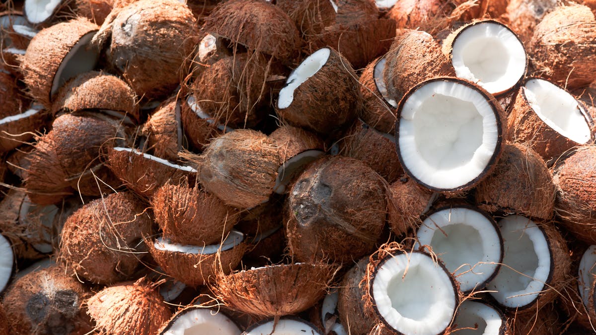 The end of coconut water? The world's trendiest nut is under threat of  species collapse