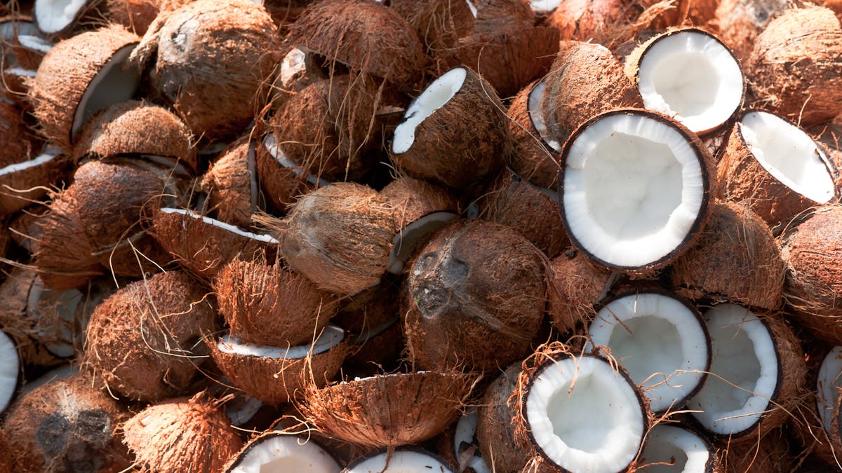 The end of coconut water? The world's trendiest nut is under threat of  species collapse