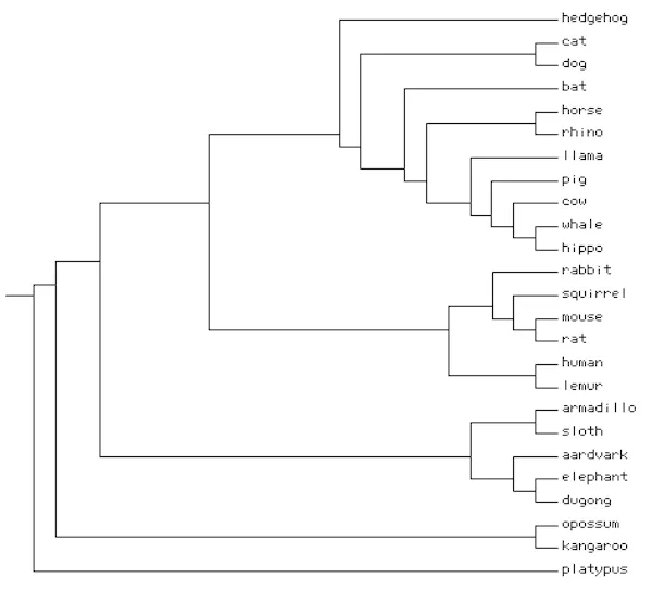 how to draw an evolutionary tree - Light Theris91