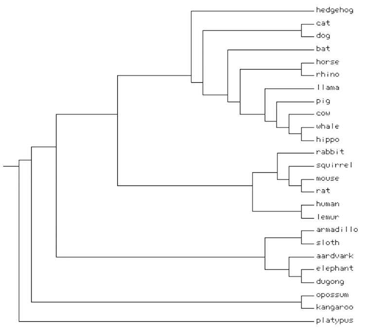 How to grow an evolutionary tree