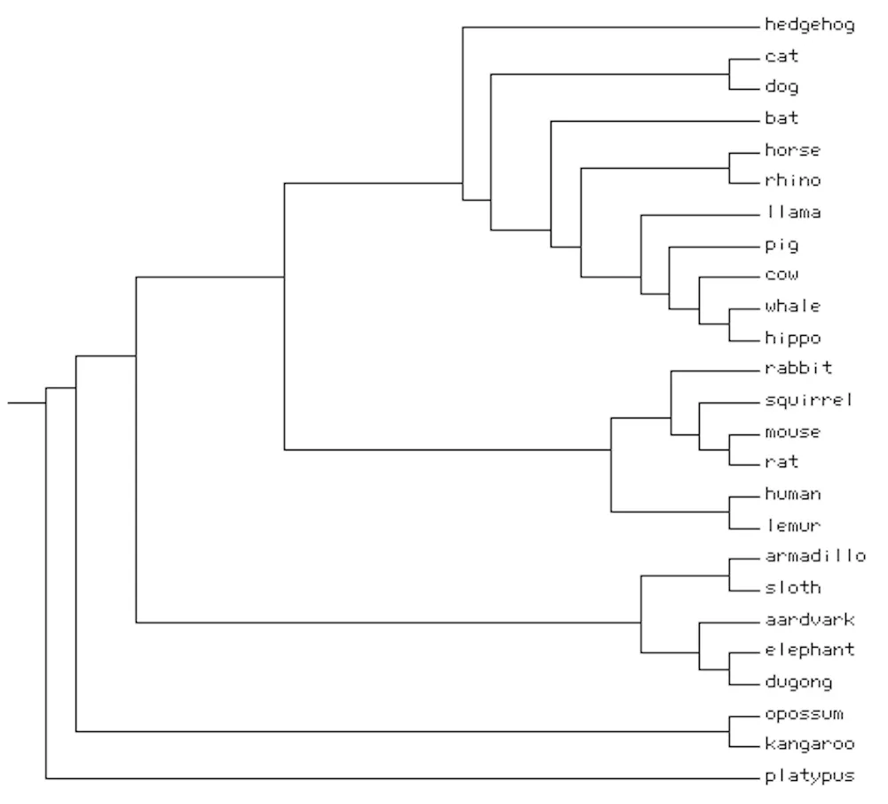 Animal Science Tree How to grow an evolutionary tree