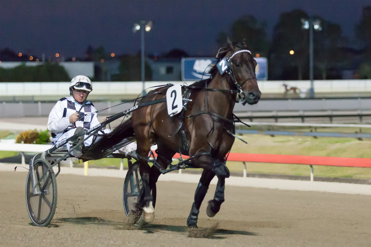 Wa Harness Racing Australia’s harness racing leads the world in banning the whip on horses
