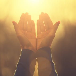 anthill 7 on belief