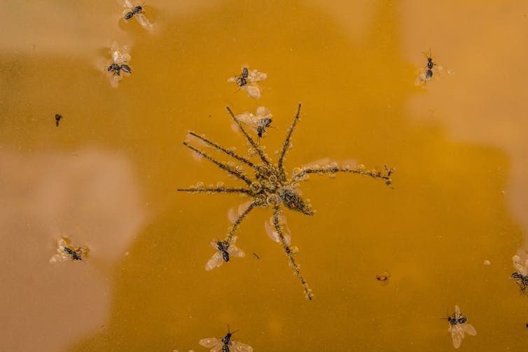 Image 20161129 10961 13jfv0q.jpg?ixlib=rb 1.1