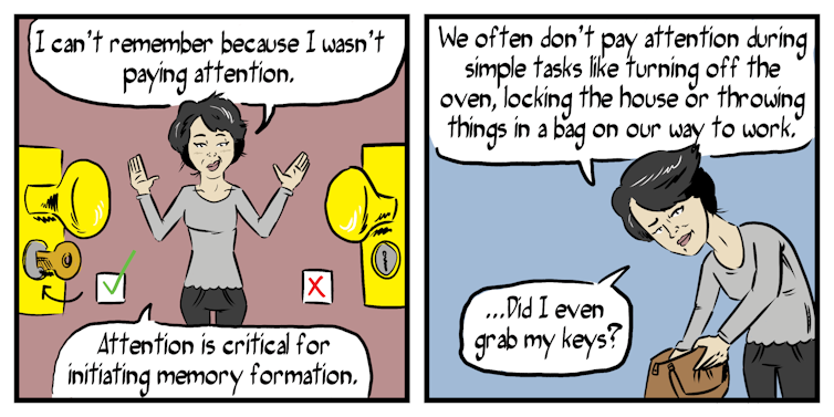 Comic explainer: how memory works