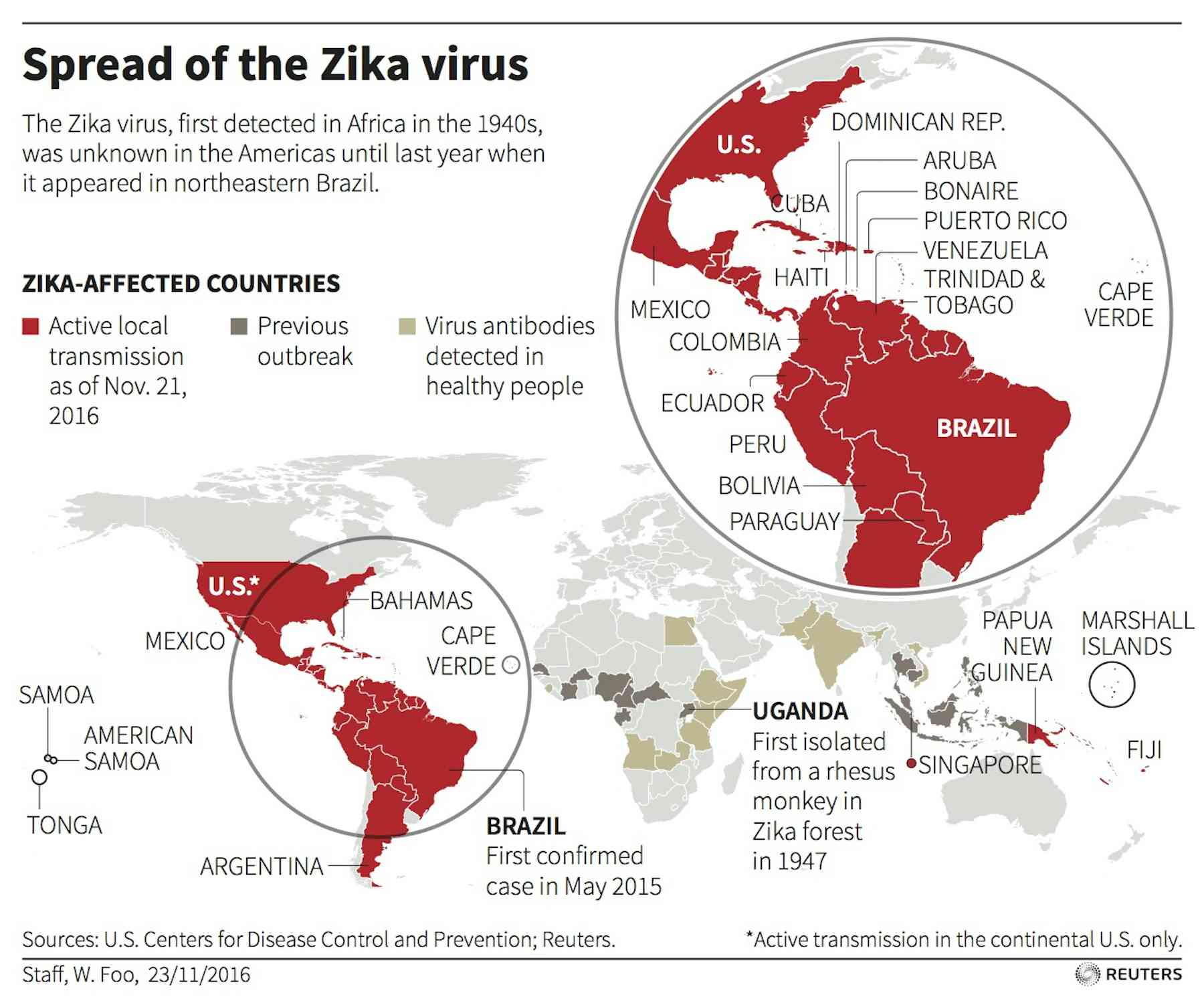 Dengue virus antibodies may worsen a Zika infection