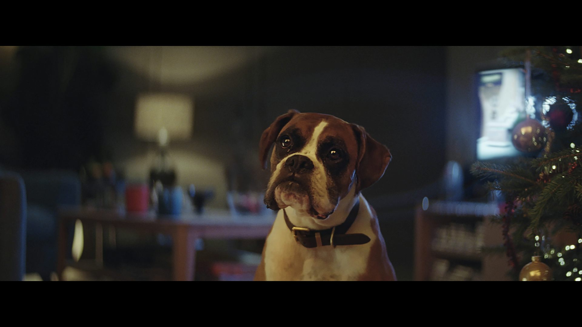 Talking Pet Christmas Commercial 2022 The Festive Psychology Behind Christmas Tv Advertising