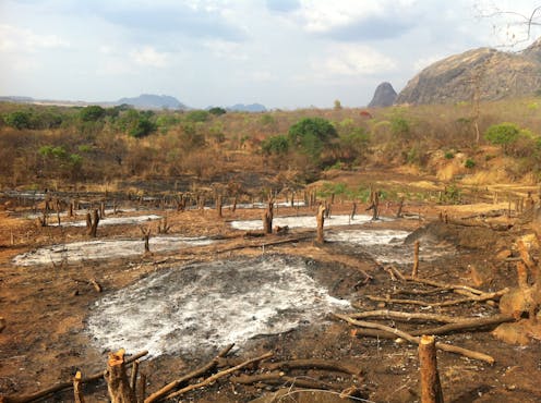 Half The World S Ecosystems At Risk From Habitat Loss And Australia Is One Of The Worst