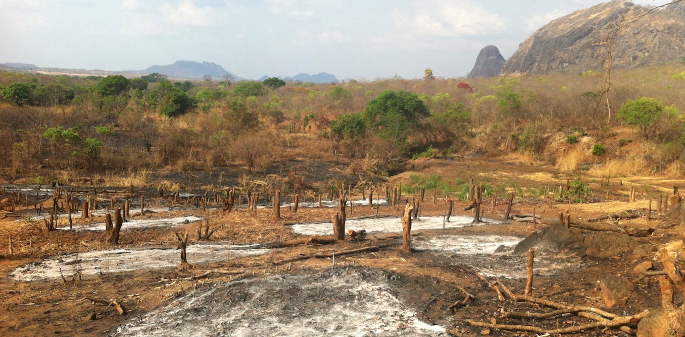 How Does Habitat Loss Pose A Threat To The Ecosystem?
