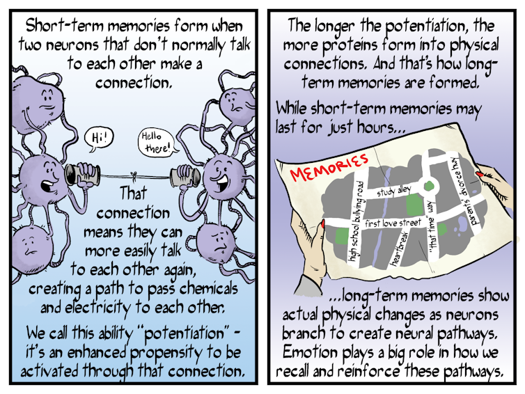 Comic explainer: how memory works