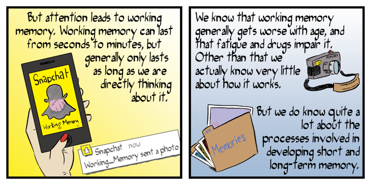 Comic explainer: how memory works