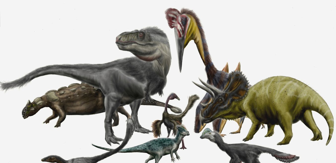 Why Were There So Many Dinosaur Species