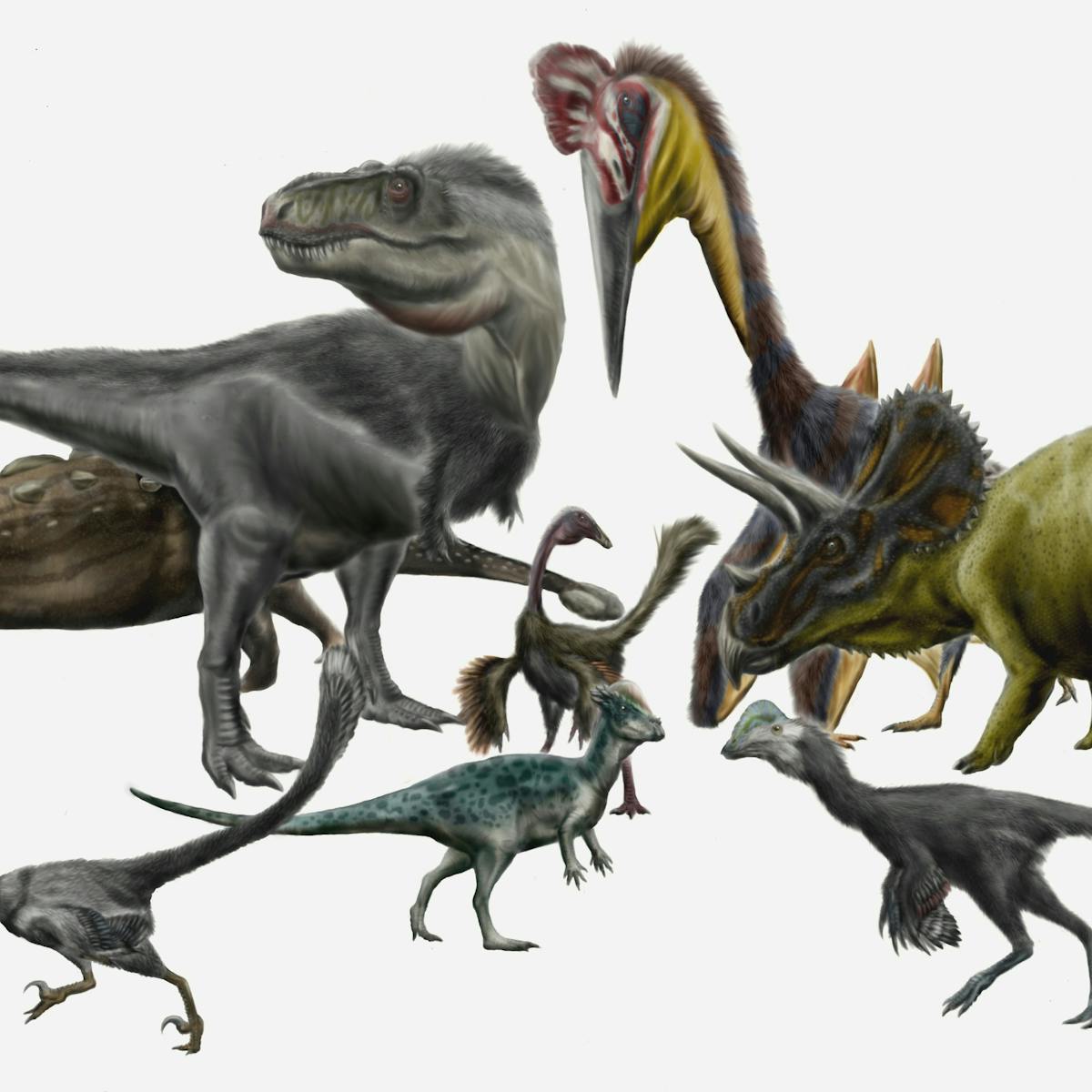 Why were there so many dinosaur species?