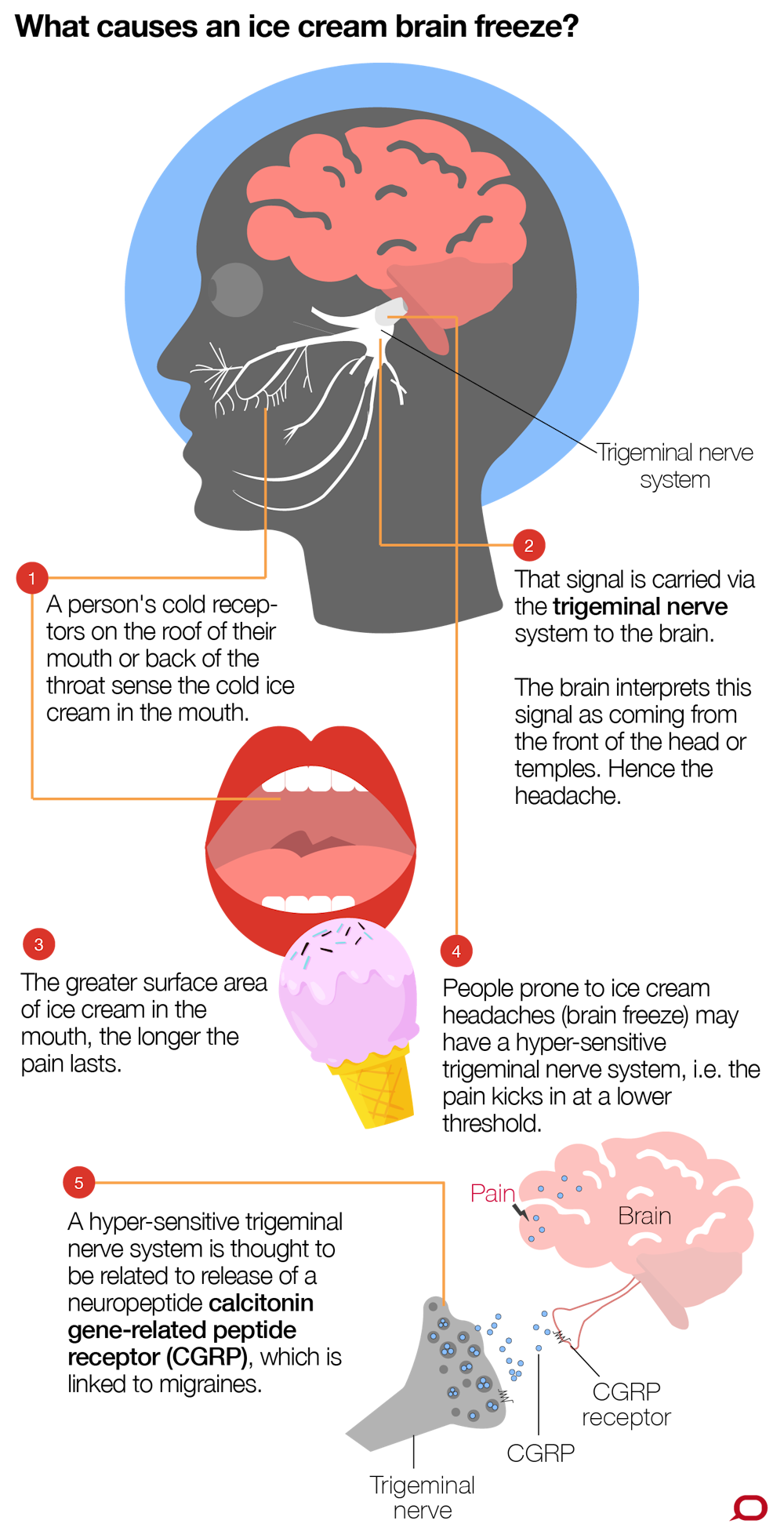 Health Check Does My Brain Really Freeze When I Eat Ice Cream