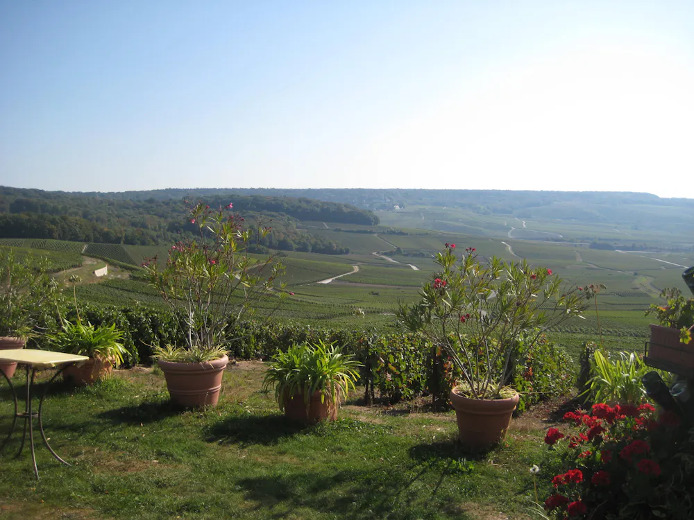 Champagne Les Quatre Mythes Fondateurs D Une Icone Mondiale Champagne Les Quatre Mythes Fondateurs D Une Icone Mondiale