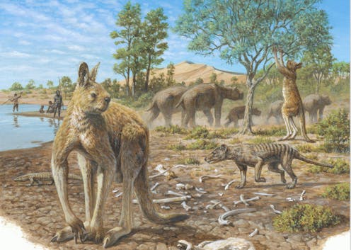 Coexistence of aborigines and mega-fauna, Australia Coexistence of aborigines and mega-fauna, Australia