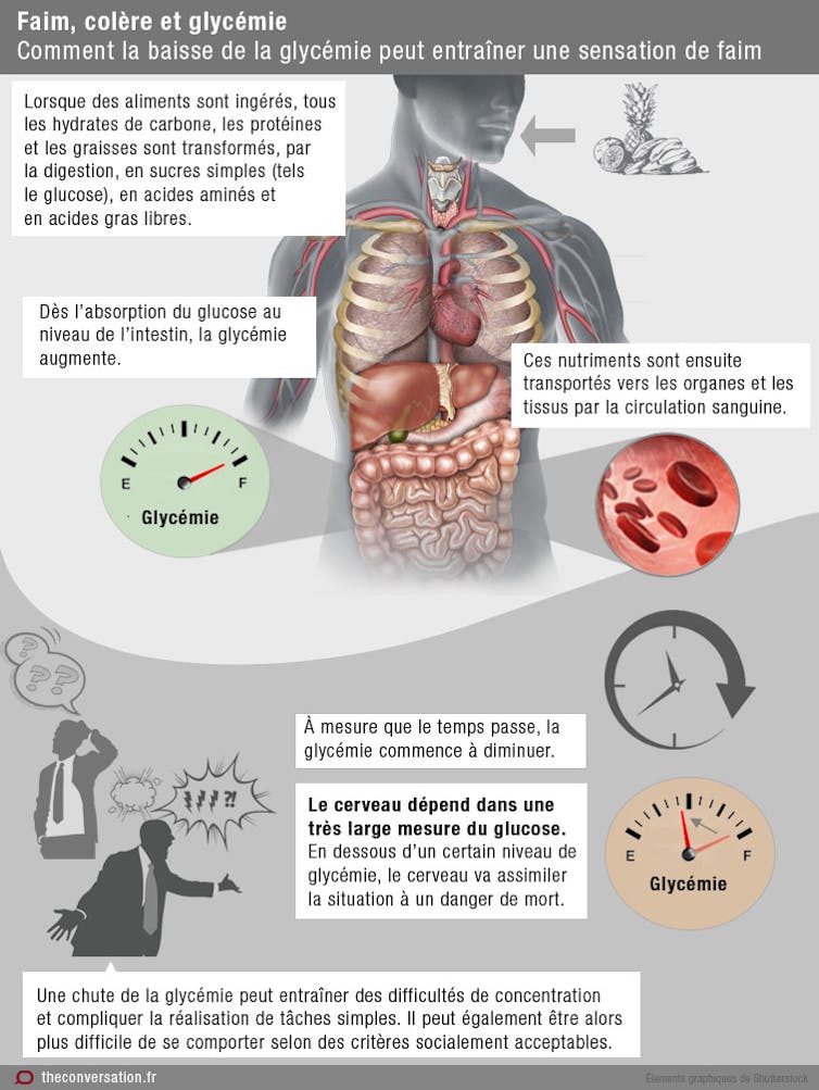 Les 5 Dangers Des Régimes Amaigrissants / Infographie / Madiet