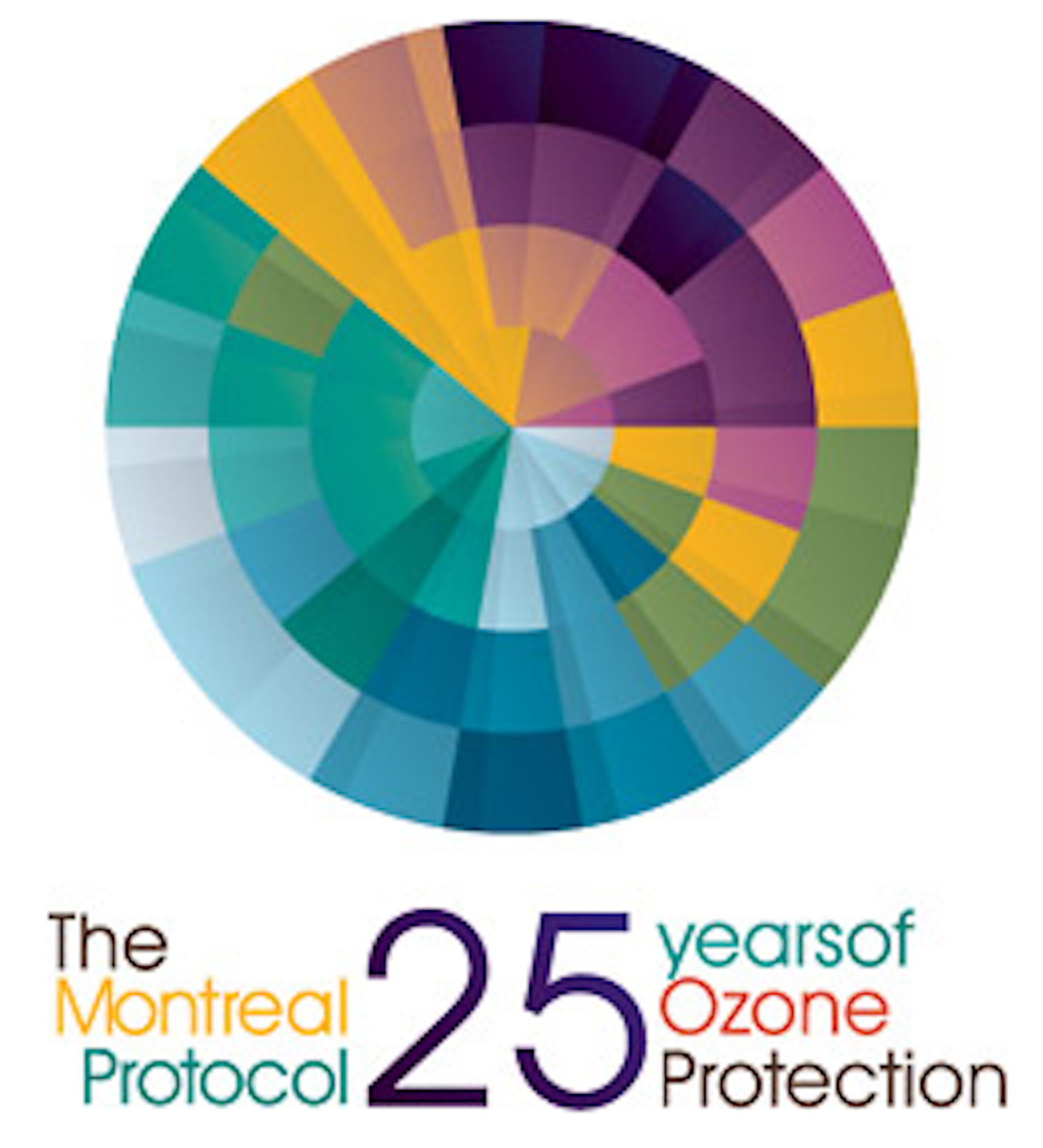 Saving the ozone layer why the Montreal Protocol worked