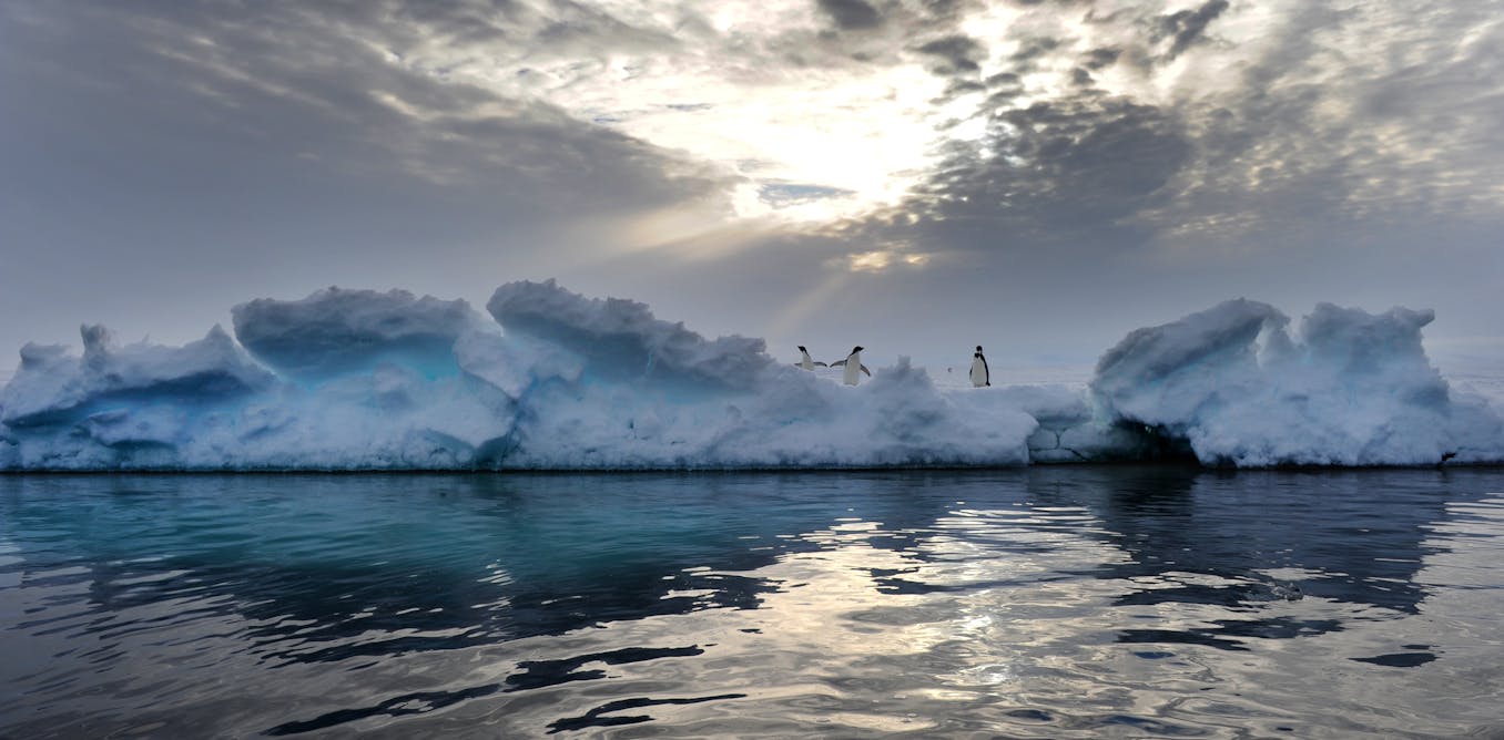 Море вы вероятно. Озоновая дыра в Антарктиде. Холодное море. Холодное море в России. Самое Холодное море.