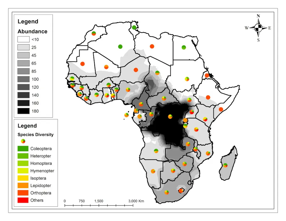 Eating insects has long made sense in Africa. The world must catch up