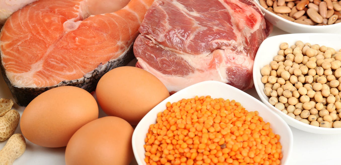 Превращение белков в пище