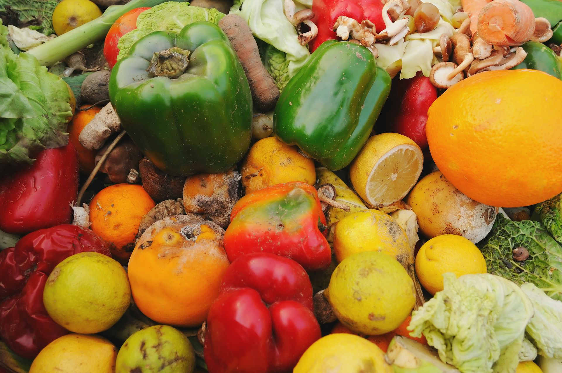 Качество свежих овощей. Овощи и фрукты. Испорченные овощи. Гнилые овощи и фрукты. Плоды и овощи.