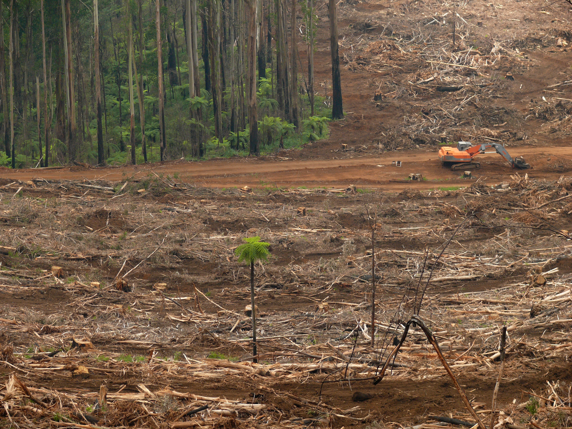 Things fall apart: why do the ecosystems we depend on collapse?
