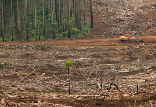 Things fall apart: why do the ecosystems we depend on collapse?