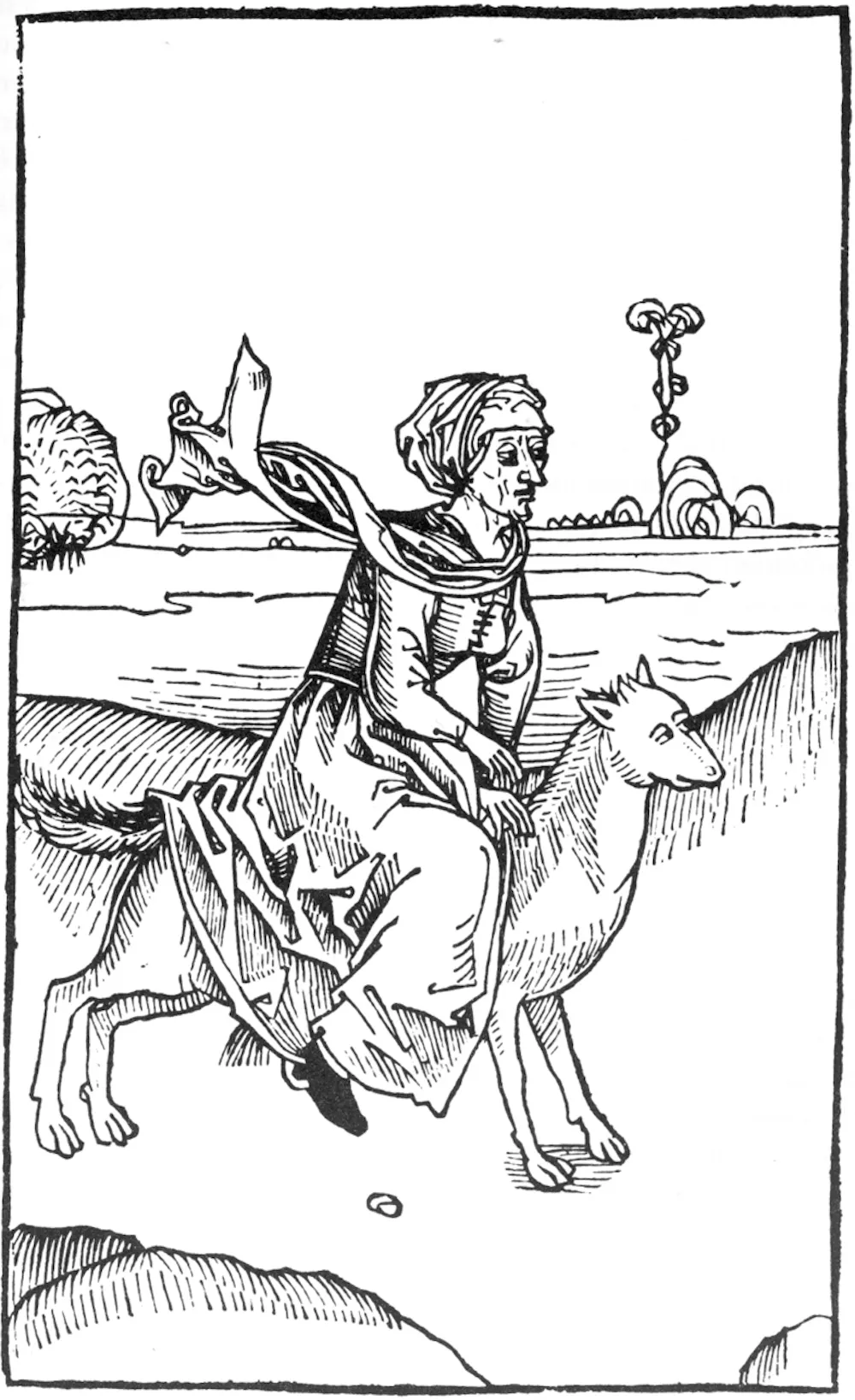 Friday essay: the female werewolf and her shaggy suffragette sisters
