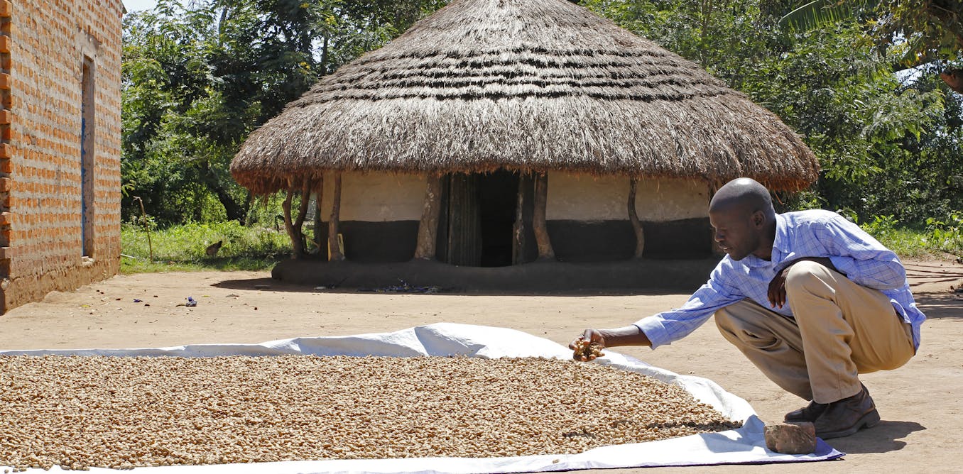 Why the us has a lot to gain from investing in africa’s agri-food systems