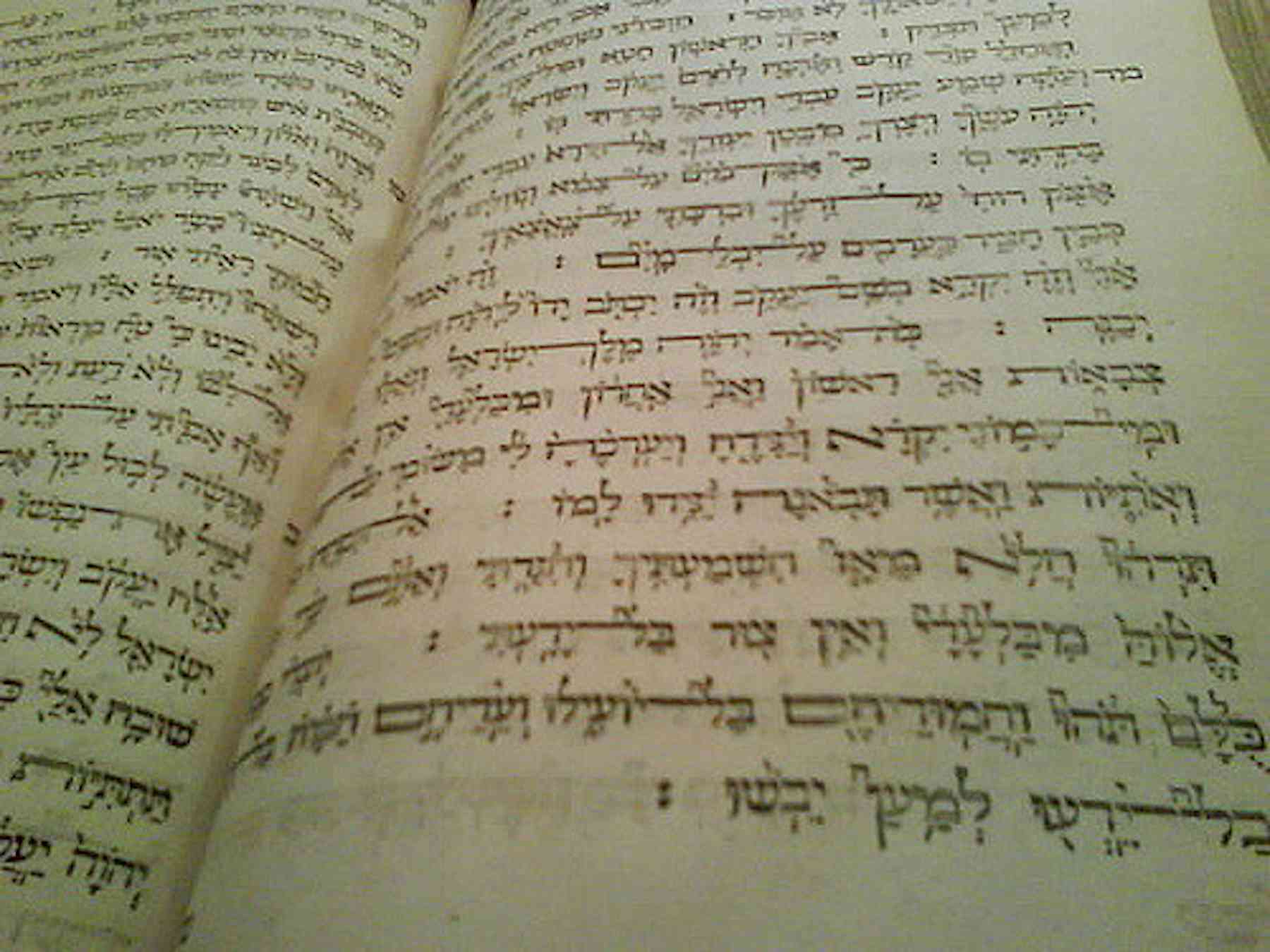 What Is The True Meaning Of Mercy What Is The True Meaning Of Mercy