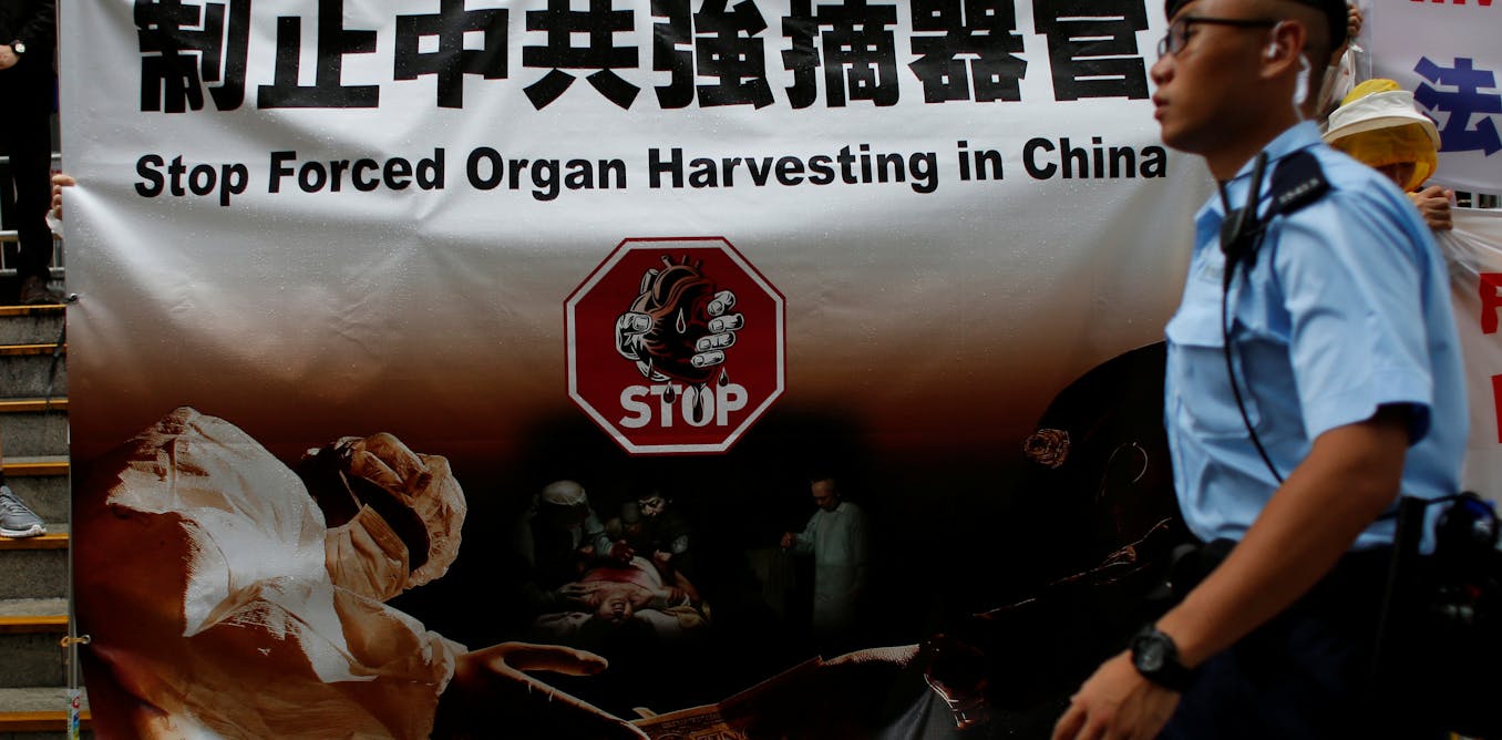 organ harvesting in china essay The international coalition to end transplant abuse in china we are a coalition of lawyers which looks at organ harvesting in china. organ harvesting in china essay The international coalition to end transplant abuse in china we are a coalition of lawyers which looks at organ harvesting in china.