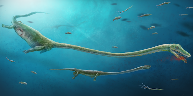Pregnant fossil shows bird and crocodile ancestors gave birth to live young