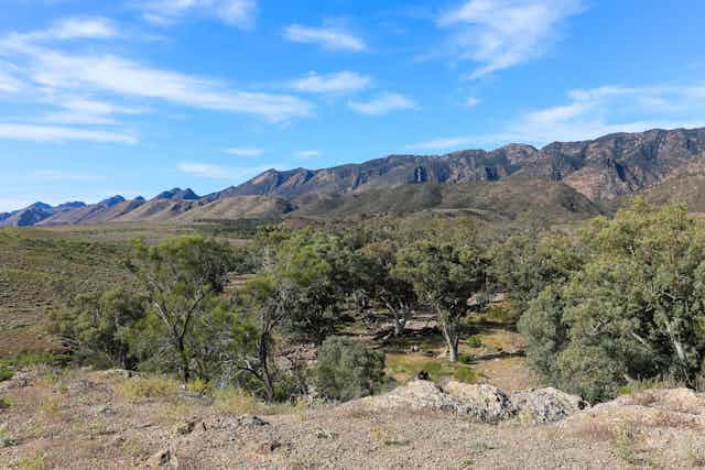 How the warming world could turn many plants and animals into climate ...