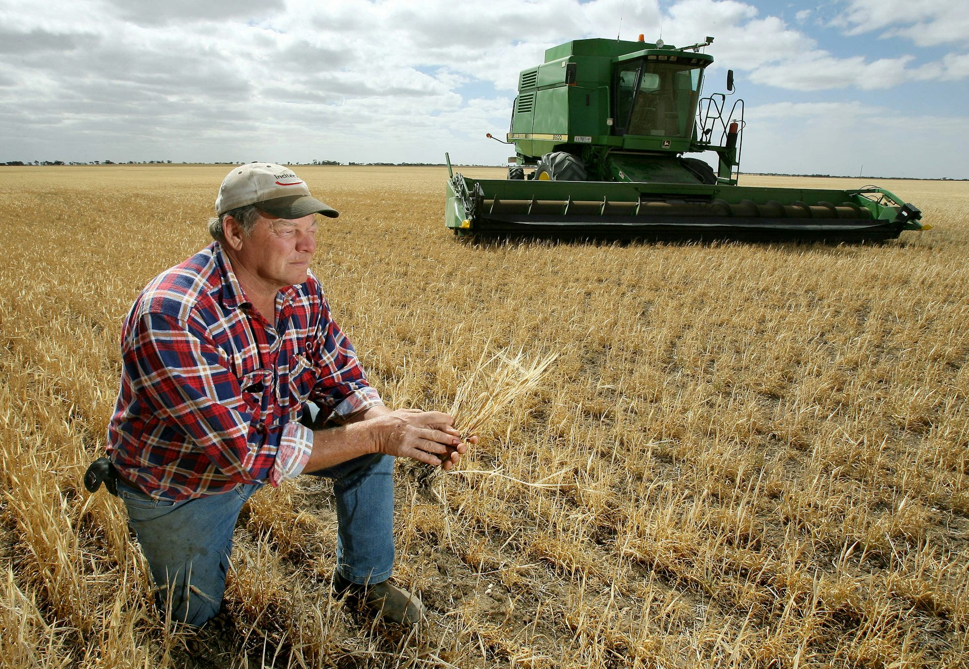 Agriculture study. Сельское хозяйство фермерство. Работники сельского хозяйства. Сельское фермерское хозяйство. Сельское хозяйство фермер.