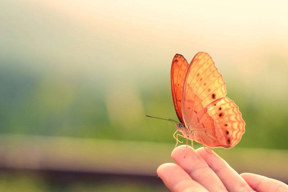 Explainer Why Do We Get Butterflies In Our Stomachs