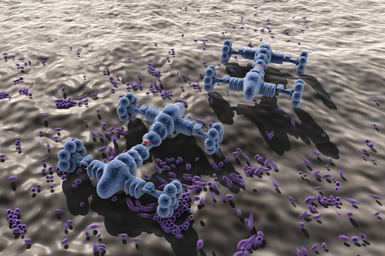 Image 20170215 27421 kxpydc.jpg?ixlib=rb 1.1