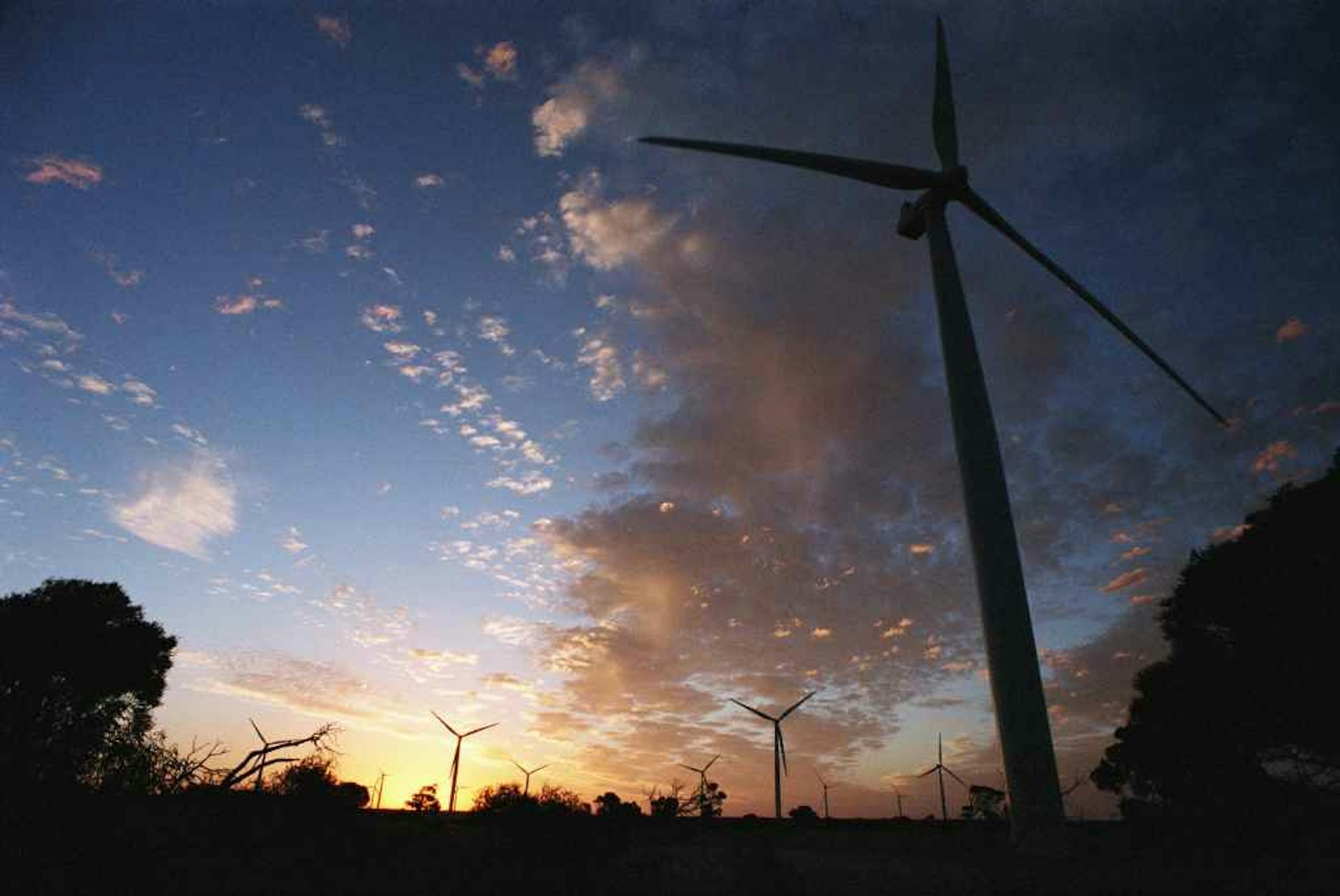 Wind power why is South Australia so successful?