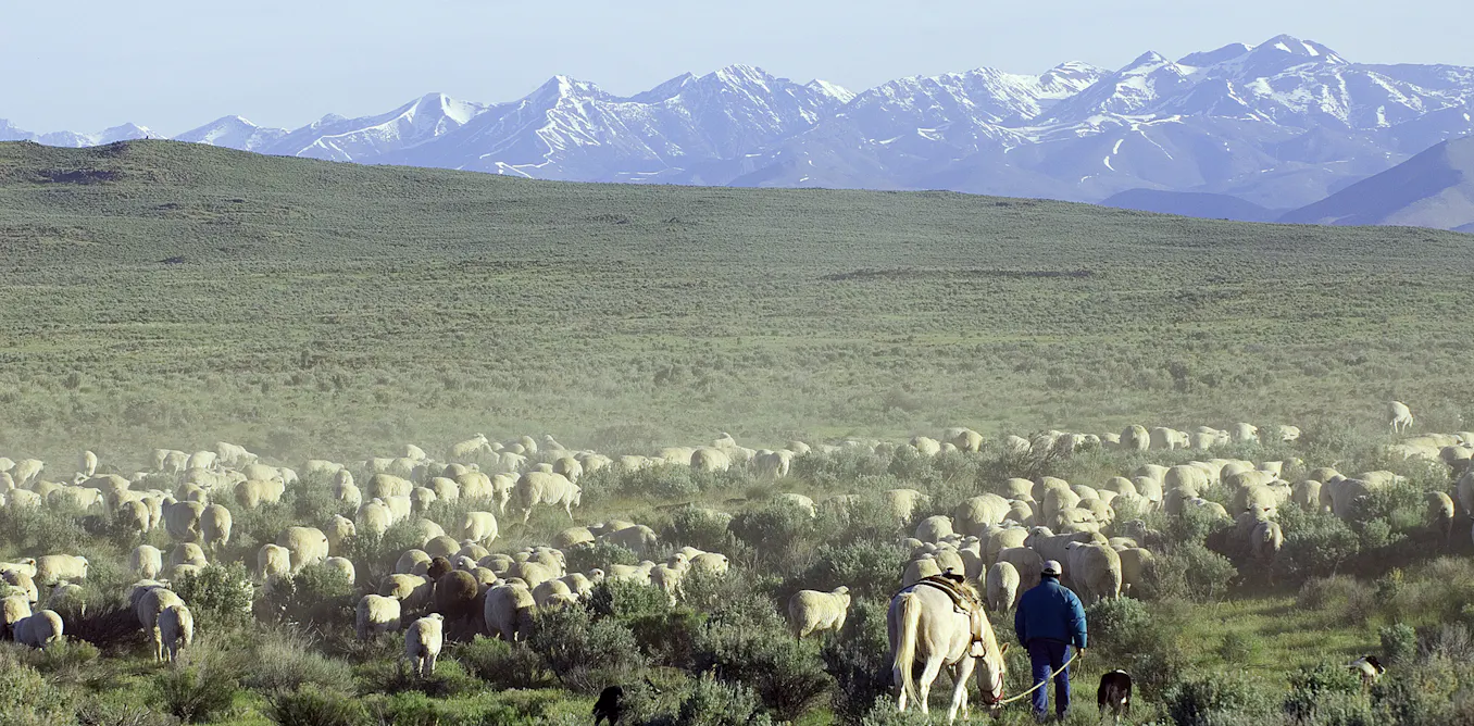 In latest skirmish of western land wars, Congress supports mining and ...