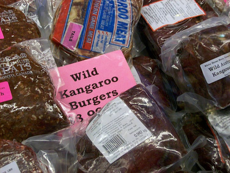 Australias commercial kangaroo industry hopping to nowhere Biology Diagrams