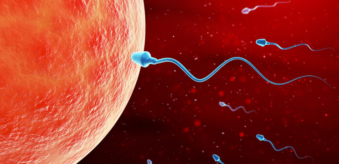 сперма во влагалище у детей фото 5