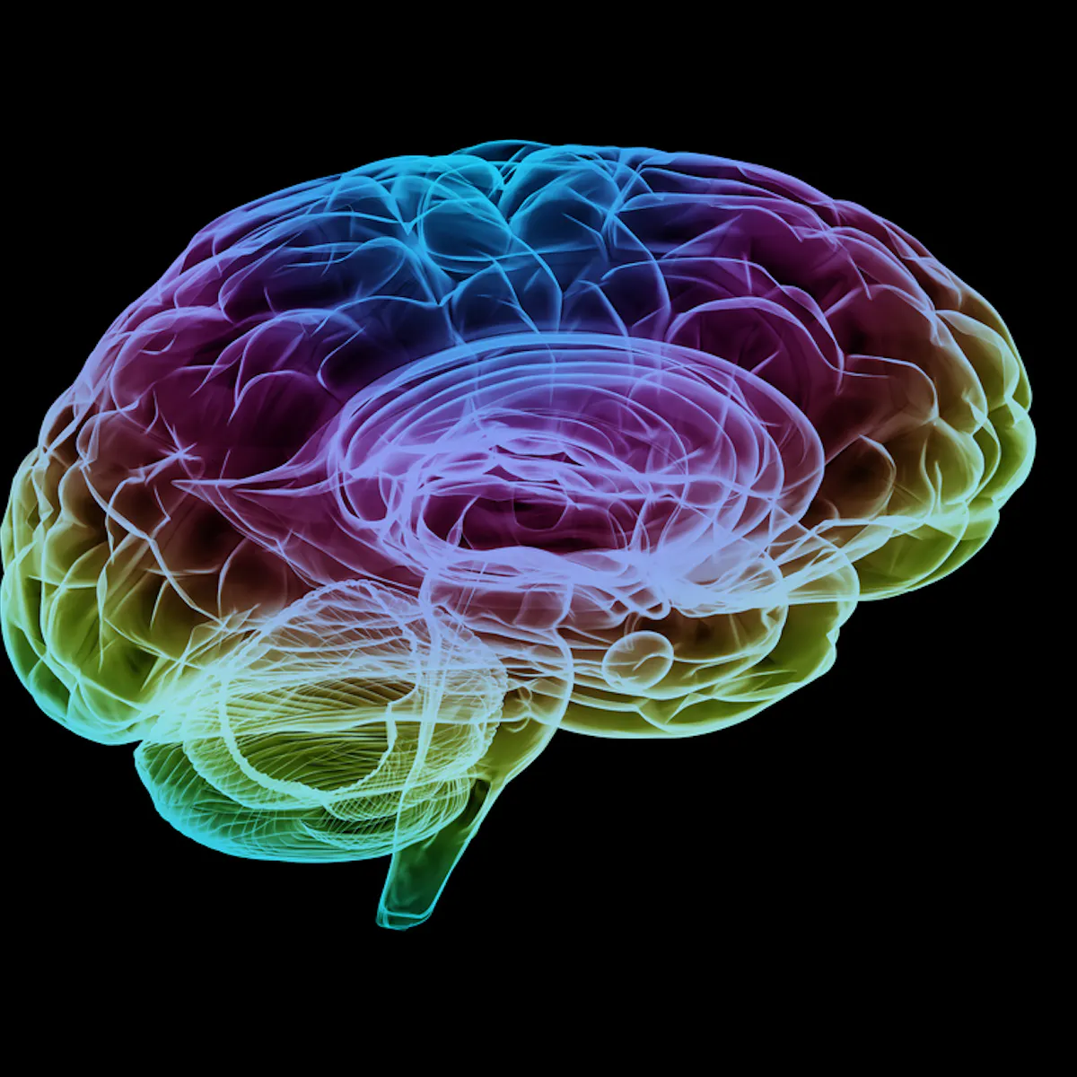 The Human Brain Makes Fructose Researchers Discover Here S Why That Might Be A Big Deal