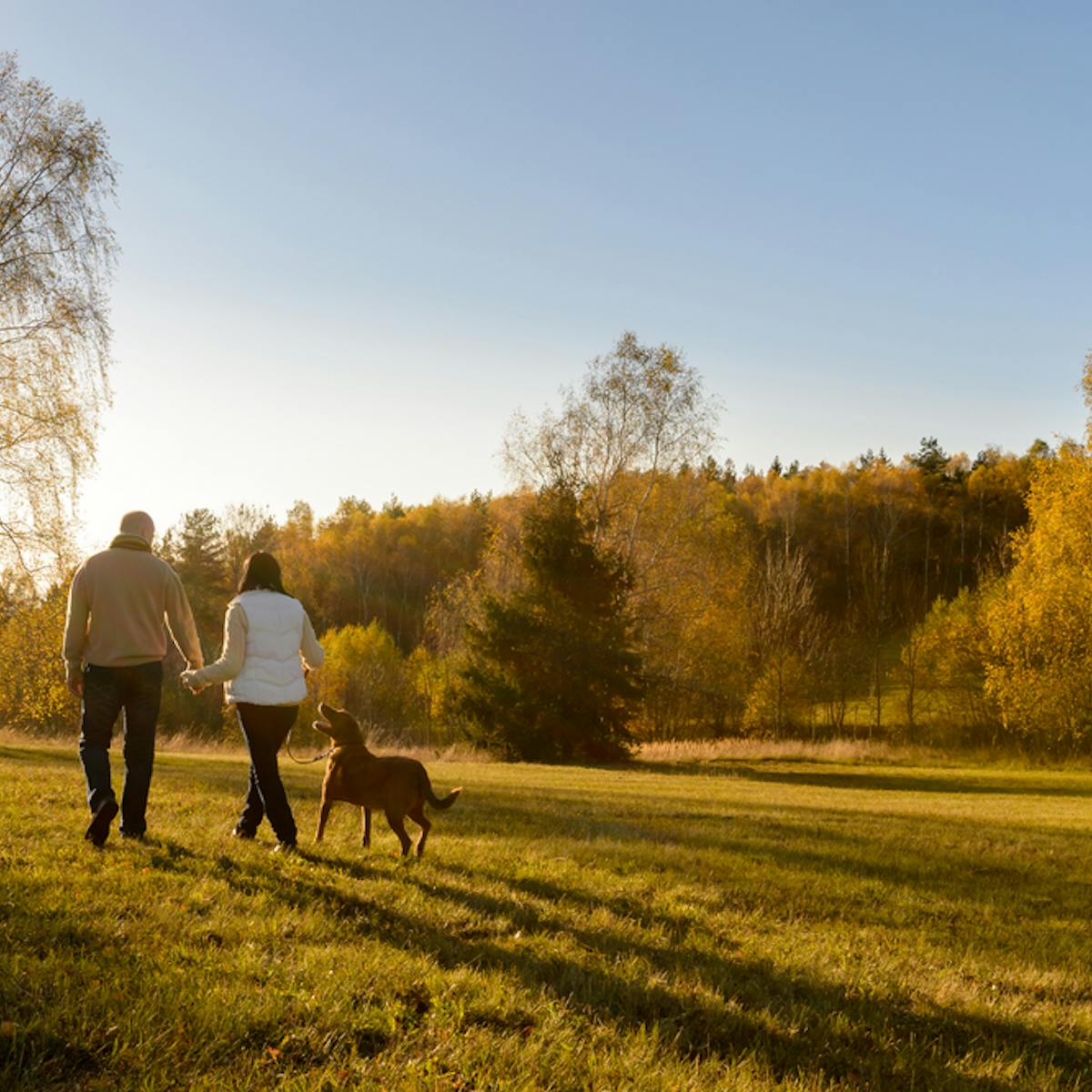 Rising Life Expectancy And Why We Need To Rethink The Meaning Of Old Age Rising Life Expectancy And Why We Need To Rethink The Meaning Of Old Age
