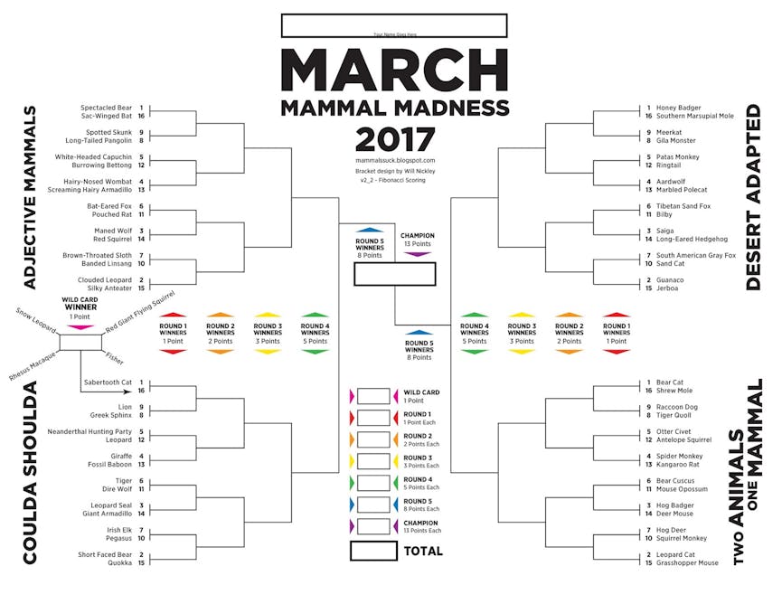 March Mammal Madness tournament shows the power of 'performance science'