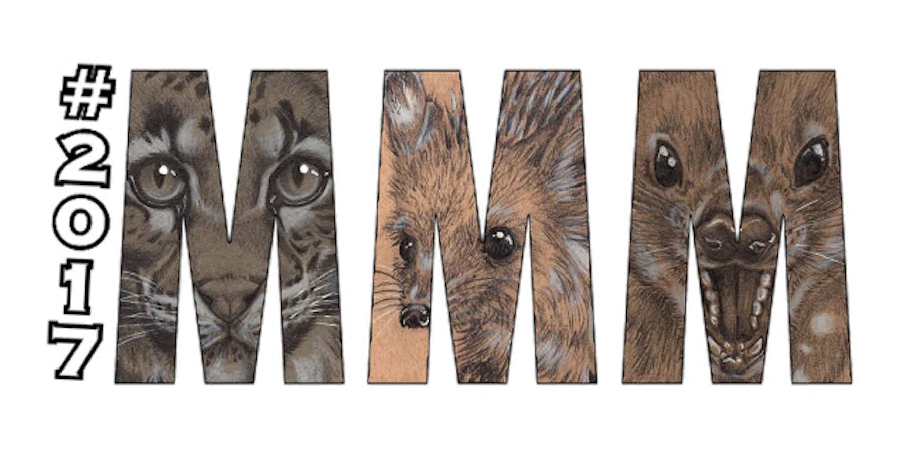 March Mammal Madness tournament shows the power of ‘performance science’