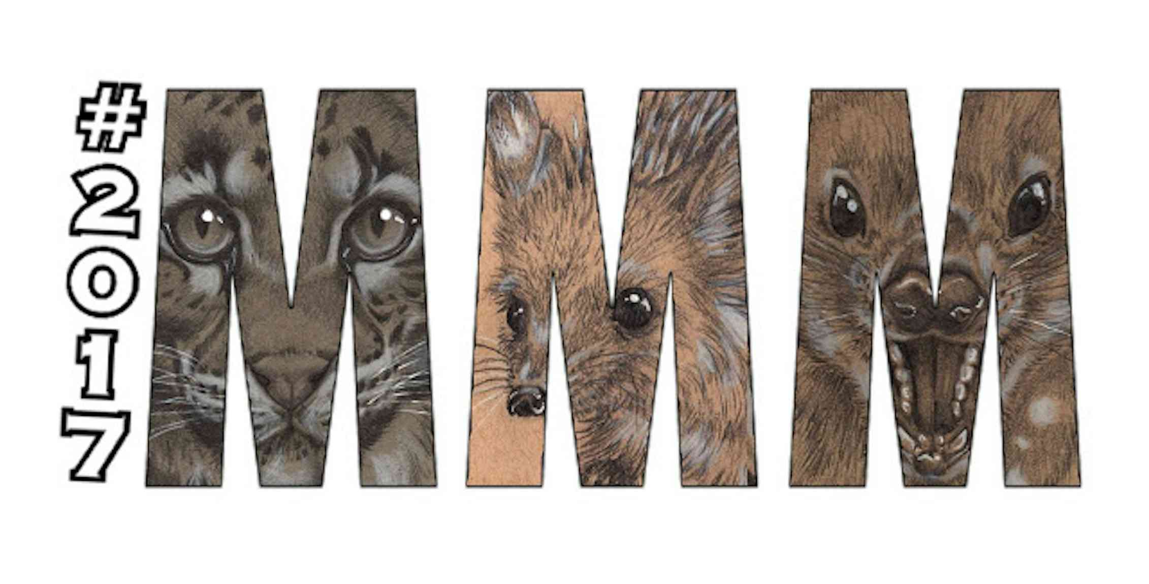 March Mammal Madness tournament shows the power of ‘performance science’