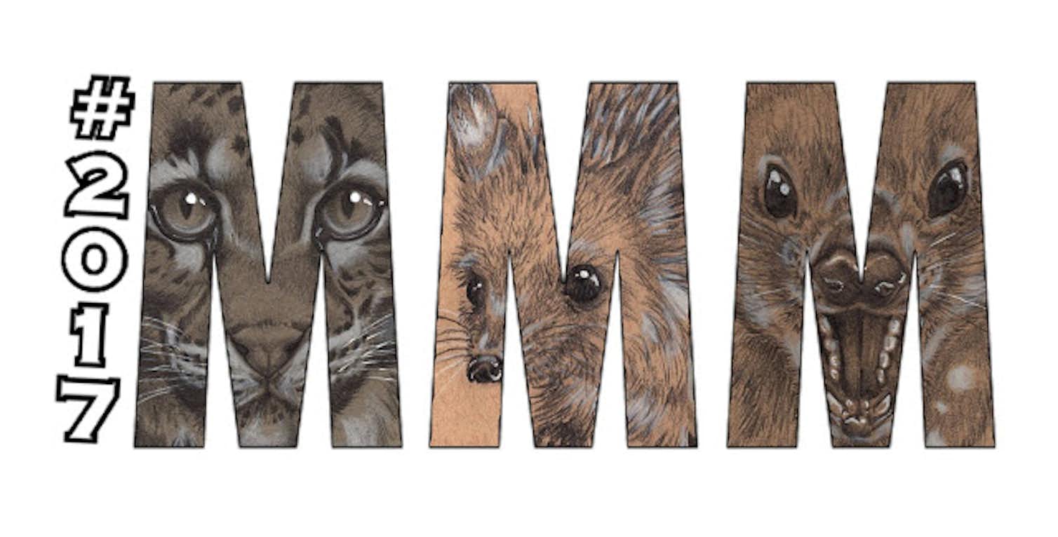 March Mammal Madness tournament shows the power of ‘performance science’